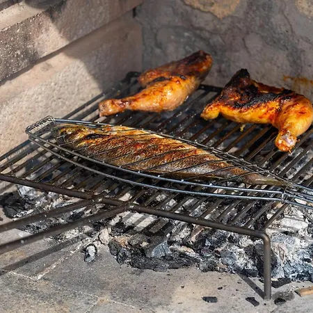 Fairyland זאדאר